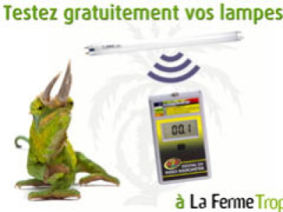 [Service] Testez gratuitement vos lampes UVB en magasin