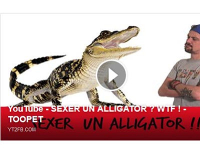 [Vidéo] Sexage d'alligator à La Ferme Tropicale avec Toopet !
