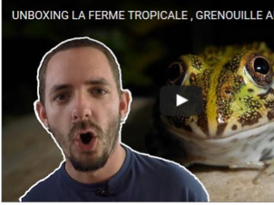[Vidéo] Unboxing d'une commande par Snake Reptile