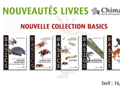 [Nouveautés livres] Collection Chimaira BASICS