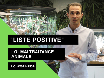 Nouvelle vidéo : où en est la « liste positive » ?