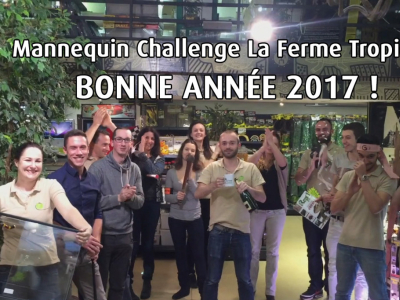 Mannequin Challenge La Ferme Tropicale - Bonne année 2017 !