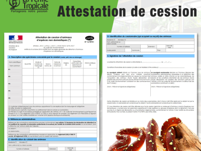 Nouveau cerfa Attestation de cession