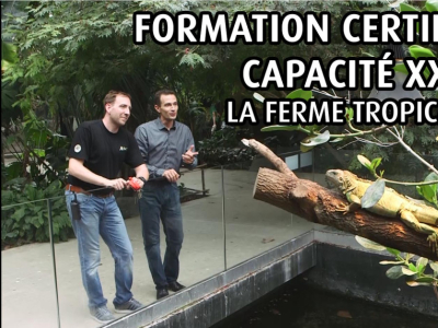 [Vidéo] Formation certificat de capacité XXL