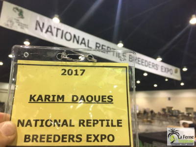 [Voyage] National Reptile Breeders Expo, Daytona Beach, Floride