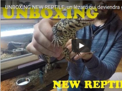 [Vidéo] Unboxing par Reptile Squad