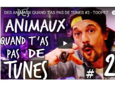 [Vidéo] Des animaux quand t'as pas de thunes #2, par TOOPET