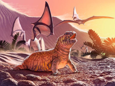 [Découverte] Un fossile de lézard acrodonte découvert au Brésil