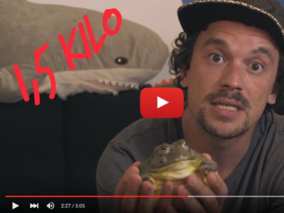 [Découverte] Toopet, une chaîne Youtube consacrée aux animaux
