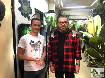 [Sur le vif] Visite du roi du Maroc à La Ferme Tropicale