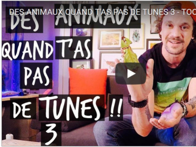 [Vidéo] Des animaux quand t'as pas de thunes #3 - TOOPET