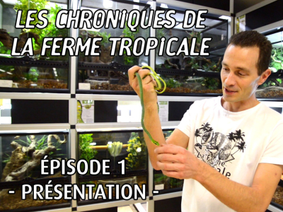 [Vidéo] Nouvelle série 