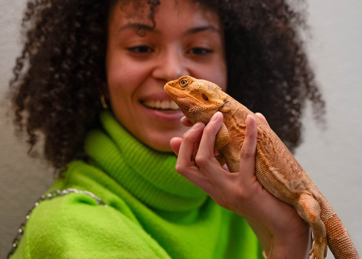 Ateliers découverte